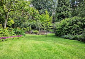 Optimiser l'expérience du jardin à Lieoux